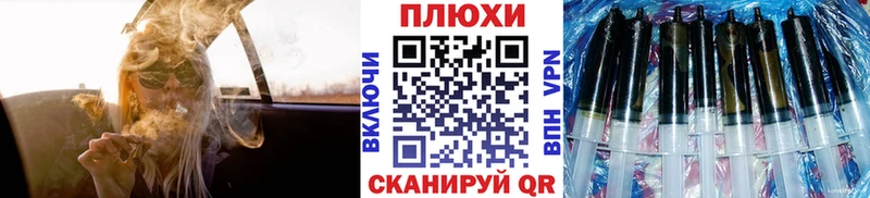Купить где  Полярные Зори  Гашиш VHQ 