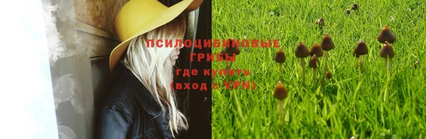 экстази Волосово