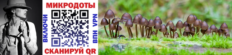 Галлюциногенные грибы Cubensis  Купить закладки  Полярные Зори 